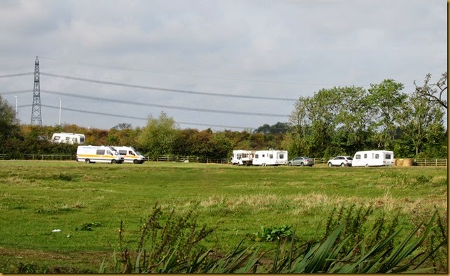 IMG_1803 IMG_1803