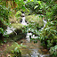 I really liked this little river. It reminds me of the pictures that Mom's boss Dr Terry has all over his office.