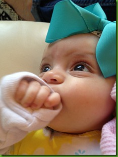 IMG_7724 IMG_7724
