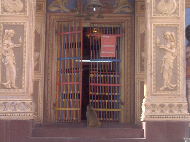 [MonkeyattheDoorsoftheTemple3.jpg]