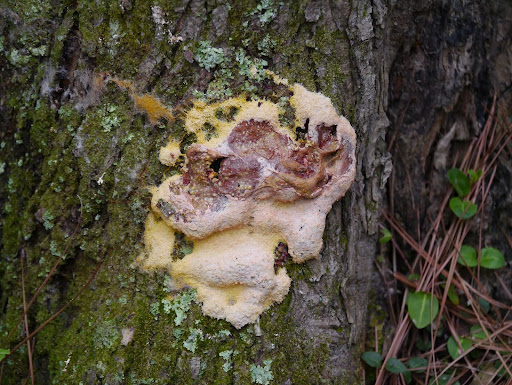 P1050491