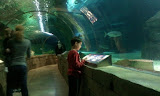 2011-11-07 11.29.23.jpg
