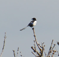 IMG_7935.JPG Photo