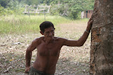 Amazon, Brazil