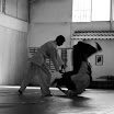 _DSC0875.JPG