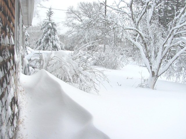 [Blizzard%25202.9.2013%2520taken%2520from%2520window%2520front%2520yard1%255B3%255D.jpg]