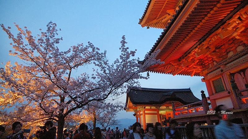 京都清水寺 