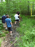 sd530812_20090329_1626678178.jpg