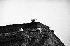 Living-on-the-Edge-2