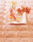 From the wedding of: Sheila and Steve. (http://www.marthastewartweddings.com/photogallery/sheila-and-steve#slide_16) From the wedding of: Sheila and Steve. (http://www.marthastewartweddings.com/photogallery/sheila-and-steve#slide_16)