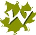 w w