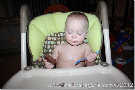IMG_0963 IMG_0963