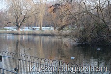 IMG_0903 IMG_0903