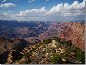 110814 Grand Canyon (21)