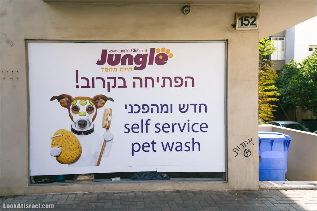 Крошки Тель Авива, часть 1