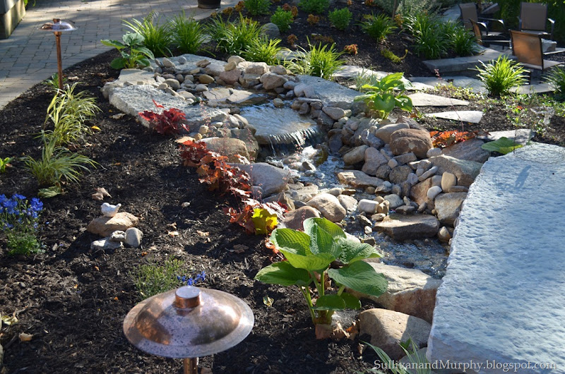 stream bed