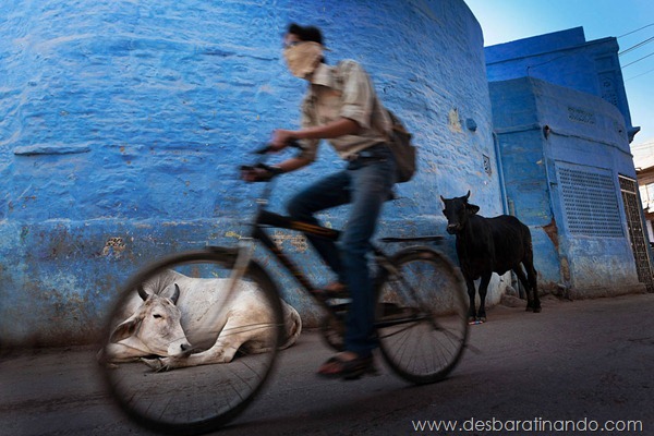 sony-world-photography-awards-2013-21 sony-world-photography-awards-2013-21