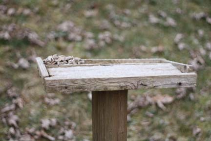 [echs%2520homecoming%25202012%2520024%255B3%255D.jpg]