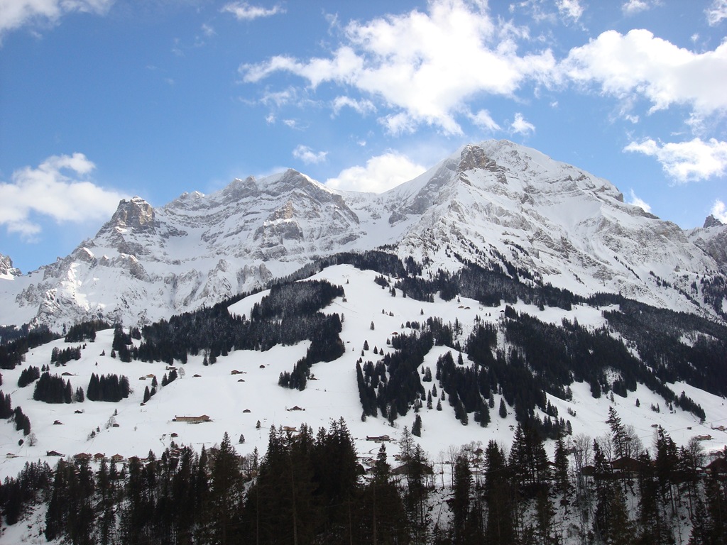[DSC00779.jpg]