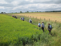 Across farmland trail