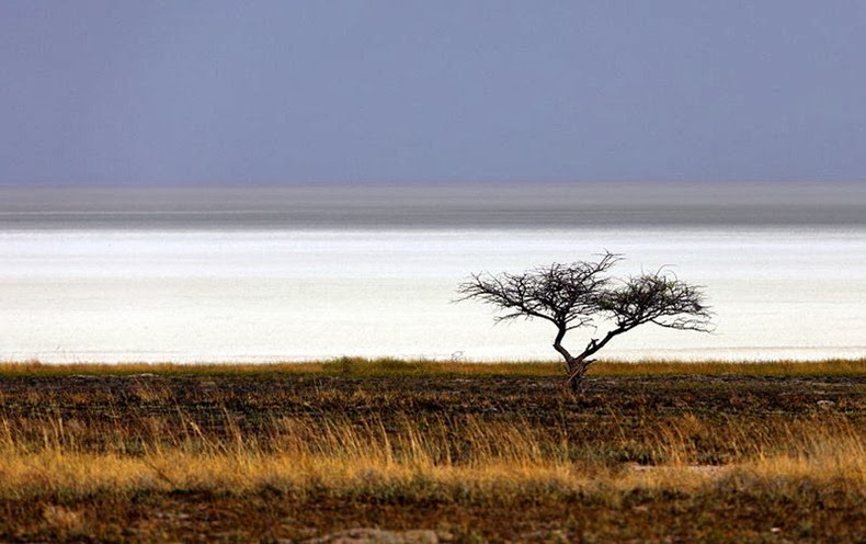 etosha