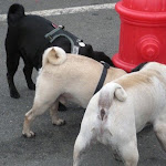 DSCN3433.jpg