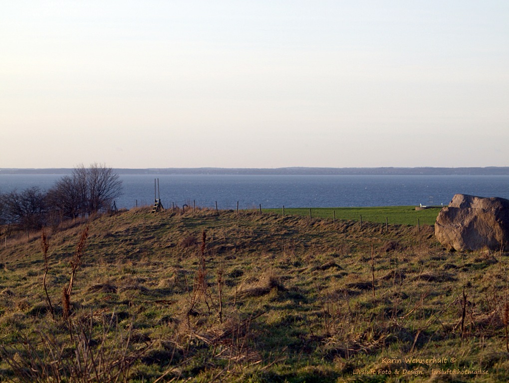 [P1011976RC7.jpg]