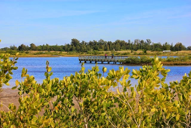 Robinson Preserve Pier