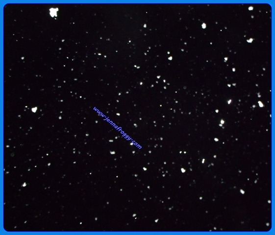 GEDC1539