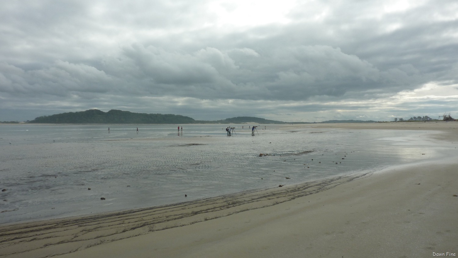 [Plum-Island_036-13.jpg]