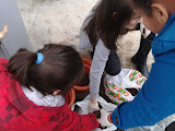 2012-01-19 15.23.32.jpg