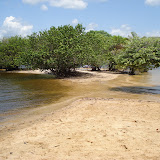 Alter do Chão