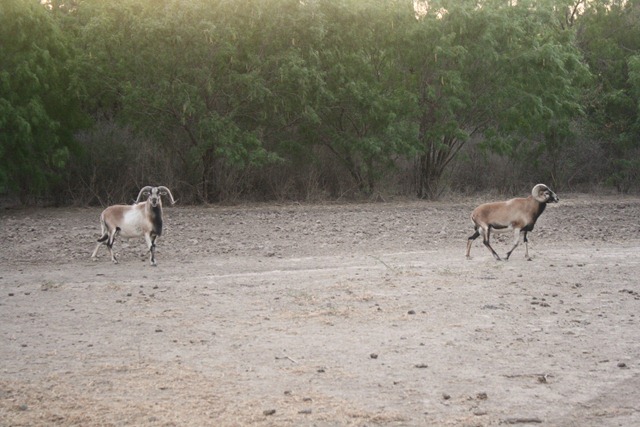 [RanchJune180313.jpg]
