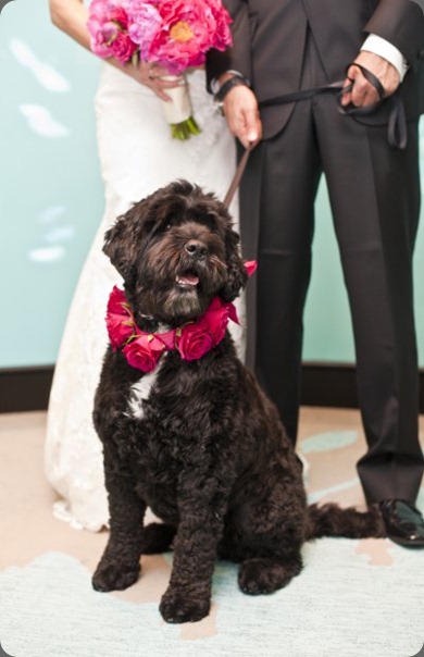 5740_721691976365_3714247_n at hailey bernstein's wedding zest floral 5740_721691976365_3714247_n at hailey bernstein's wedding zest floral