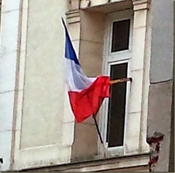 tricolor tricolor
