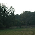DSC_8774.JPG