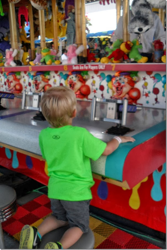 SAM_0264 SAM_0264