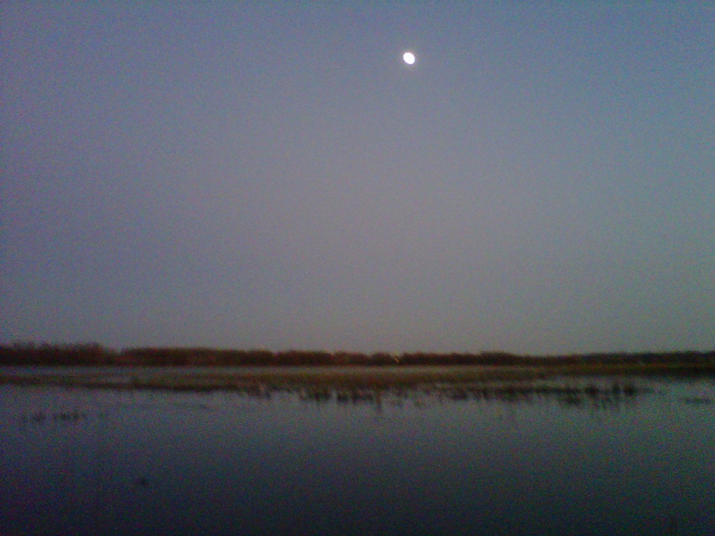 [IMG00309-20111106-1714%255B5%255D.jpg]