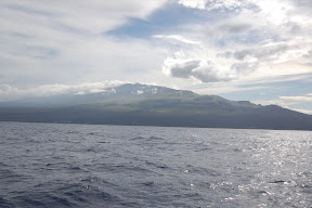 DSC_0848.JPG