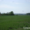 dsc06574.jpg