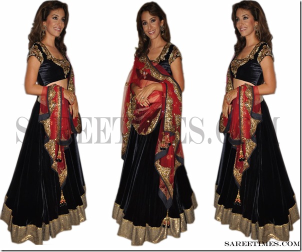 Perizaad_Zorabian_Designer_Saree