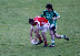 Thumbnail - 2011 SFC QF : Roslea v Newtownbutler