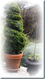 Topiary8