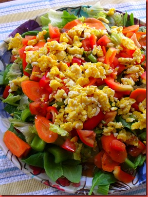 pics 010