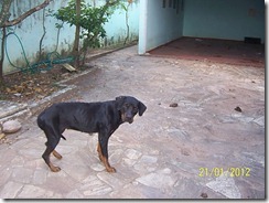100_2360_resize 100_2360_resize