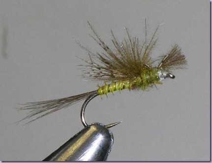 clip_image026 clip_image026