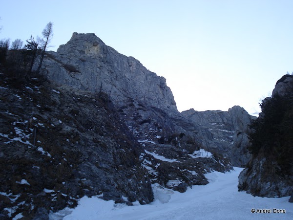 DSC00142.jpg