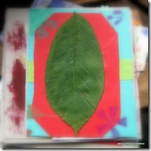 IMG_7948 IMG_7948