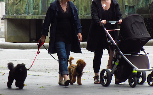 'Julia' and 'Oscar'...taking a stroll in the town square....