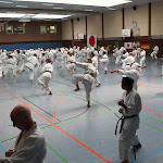 H25D2999.JPG